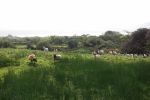 PICTURES/Everything That Did Not Fit Anywhere Else/t_DSC00237.JPG